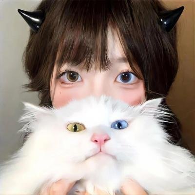 猫和老鼠：雪人国大冒险
